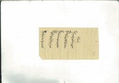 Document dated nil,